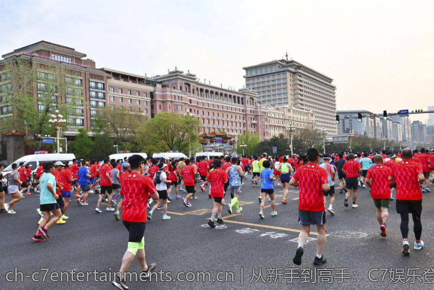 从新手到高手：C7娱乐登录平台的成长之路